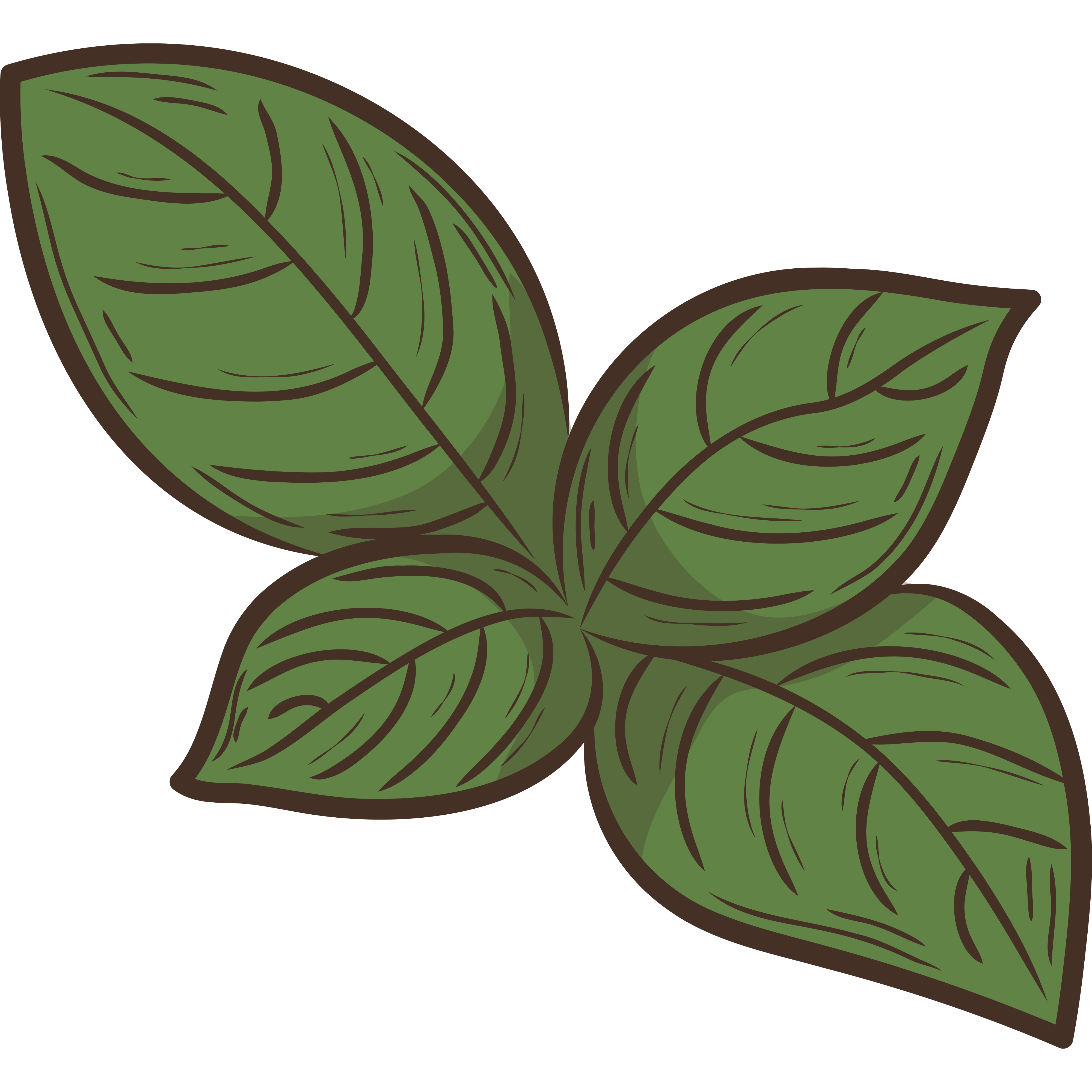 Oregano