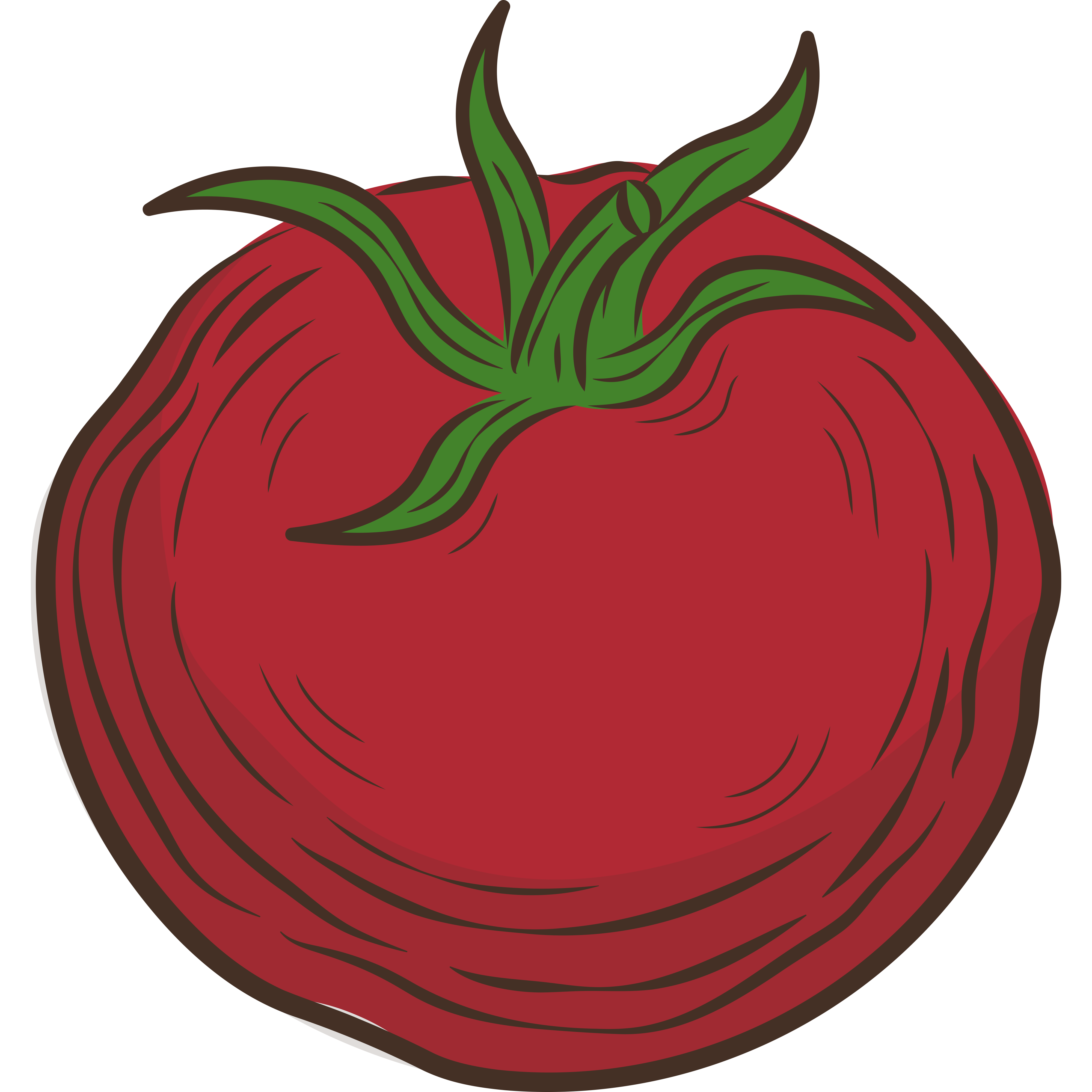 Tomato